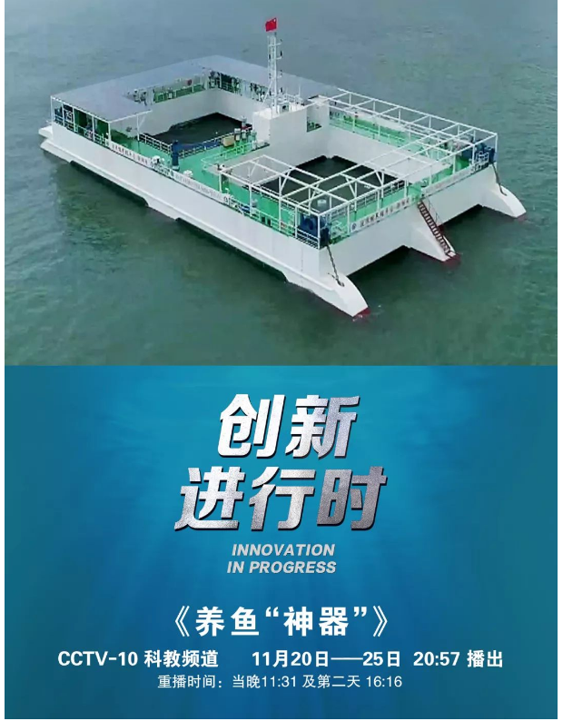 風(fēng)再猛、浪再大，都攔不住我養(yǎng)魚的雄心！