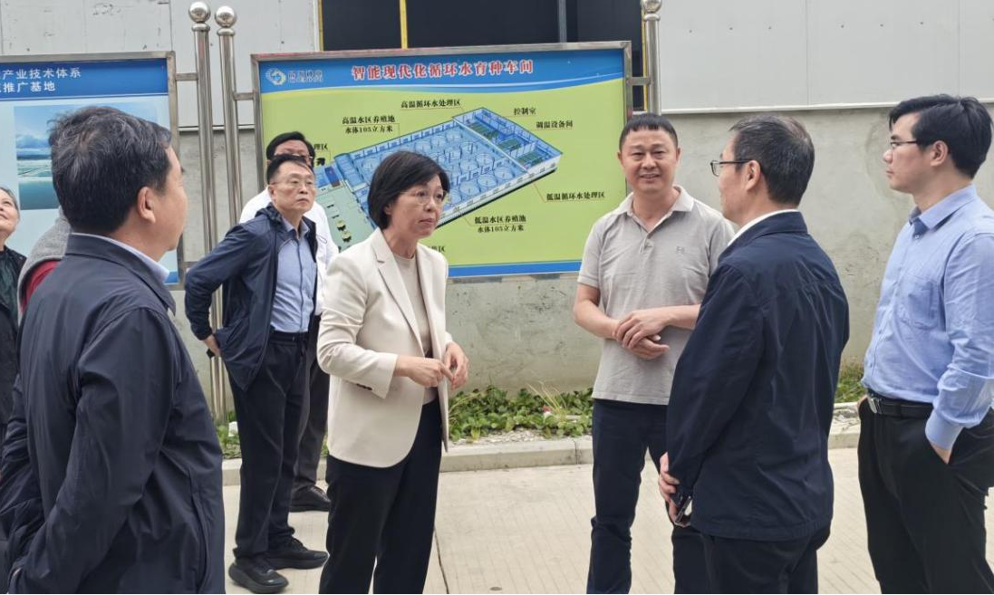 福建省政協(xié)副主席黃玲帶隊到晨海調(diào)研